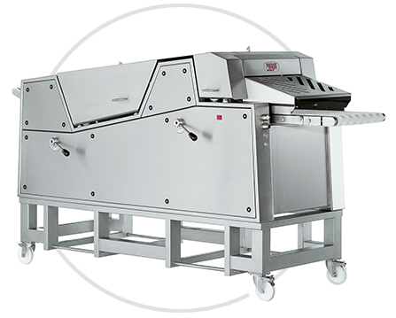 Vanguard Food Processing Machine